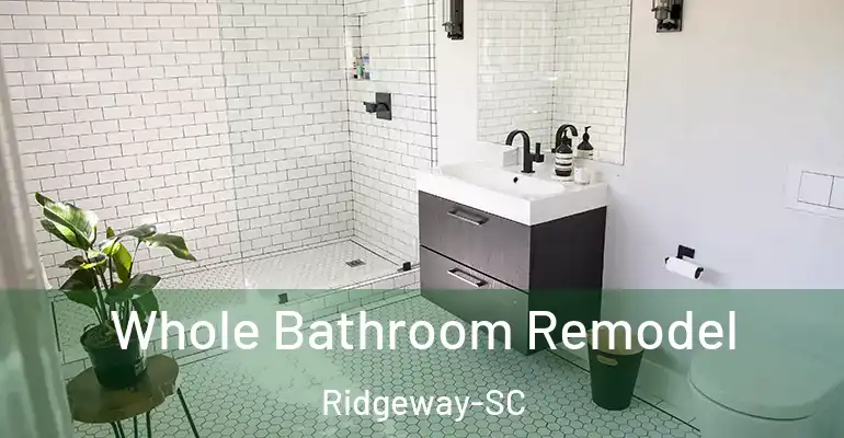 inner Bathroom imggen Whole Bathroom Remodel Ridgeway-SC