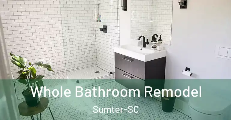 inner Bathroom imggen Whole Bathroom Remodel Sumter-SC